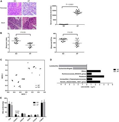 Bile Acid Supplementation Improves Murine Pancreatitis in Association With the Gut Microbiota